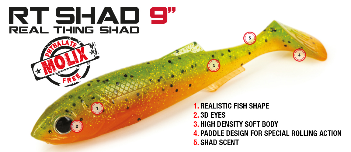 Molix RT Shad 9 inch